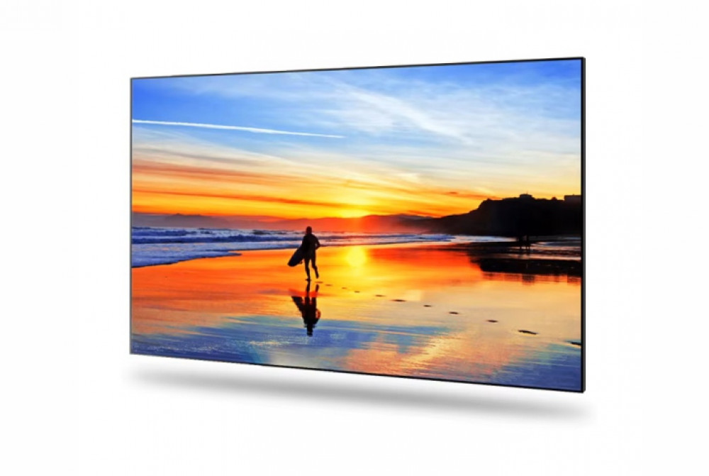 LED / LCD панель EWIND BP55L 55 " — фото товара