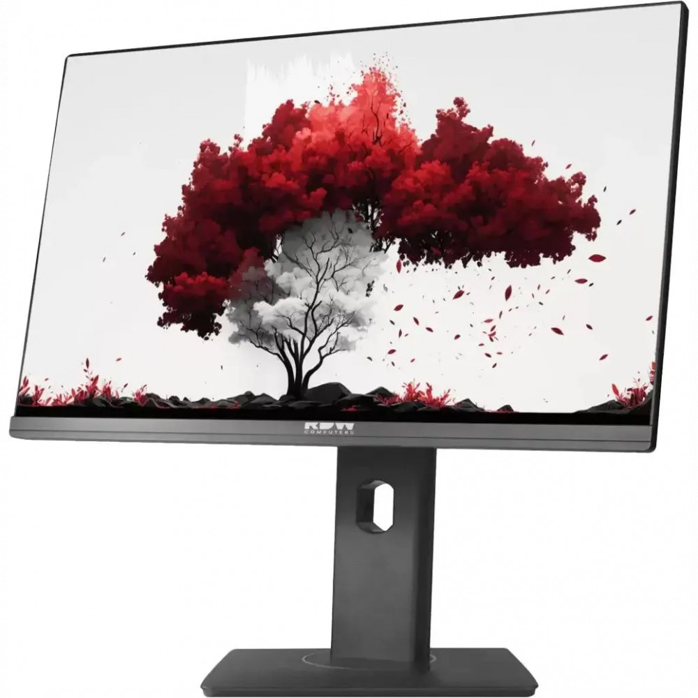 Монитор RDW Computers RDW2402K RDW2402K/F00B3 23.8 ", IPS, Full HD 1920x1080 (16:9), 75 Гц - миниатюра 2