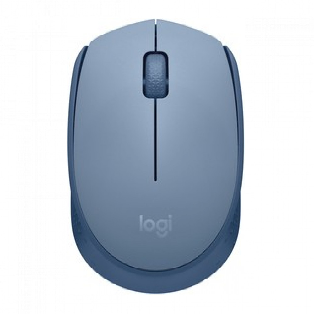 Мышь Logitech M171 910-006866 Бюджетные, Беспроводная — фото товара