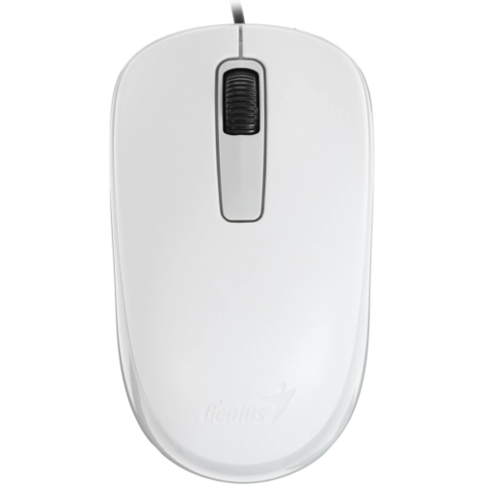 Мышь EnGenius DX-125 USB White 31010106102 Бюджетные, Проводная — фото товара