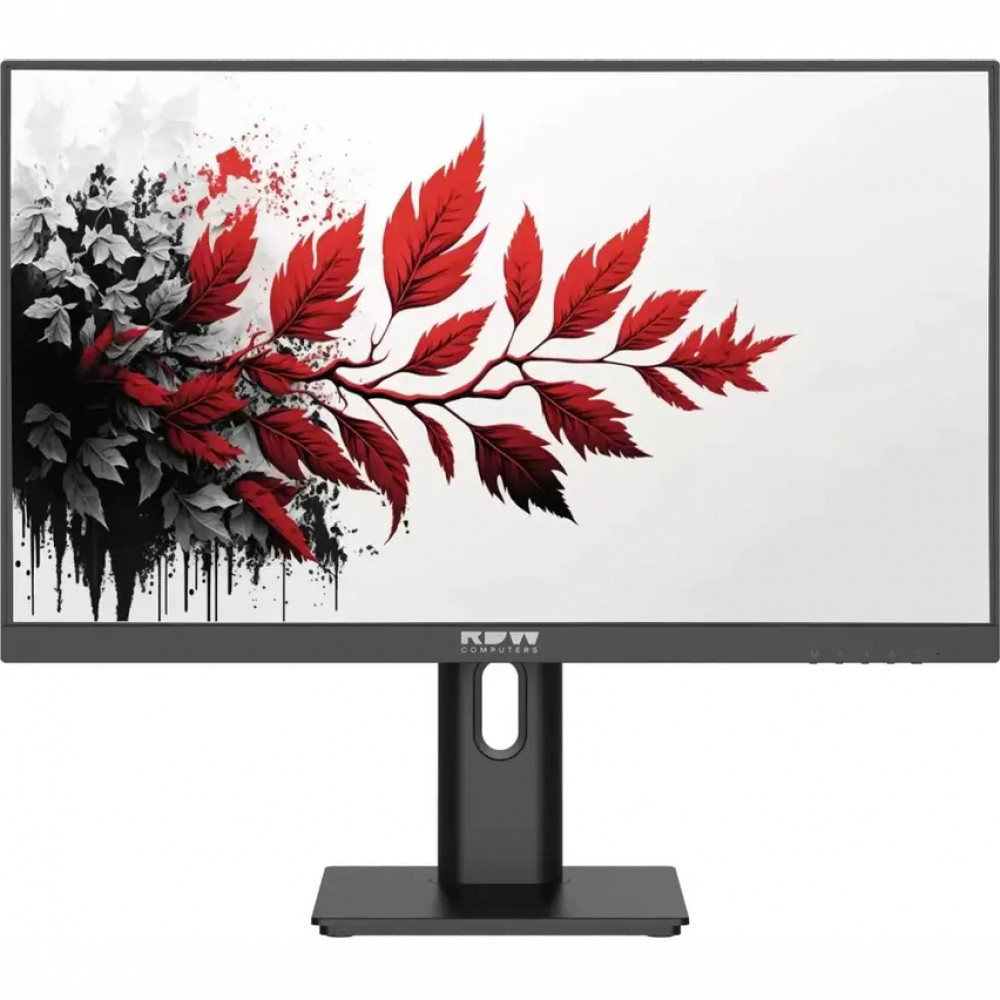 Монитор RDW Computers RDW2701K 2701K/F00B0120V2A1 27 ", IPS, Full HD 1920x1080 (16:9), 120 Гц — фото товара