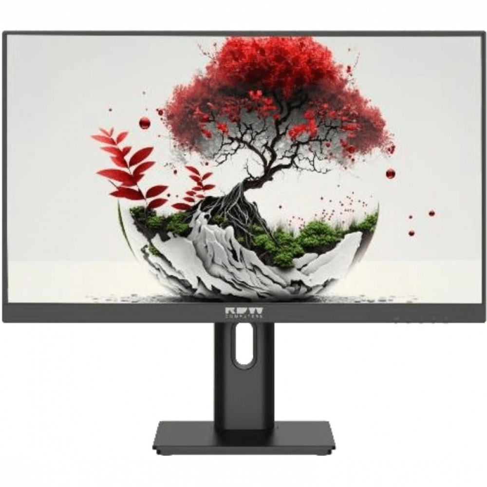 Монитор RDW Computers F08B3100V2A1A 2401K/F08B3100V2A1A 23.8 ", IPS, Full HD 1920x1080 (16:9), 100 Гц — фото товара