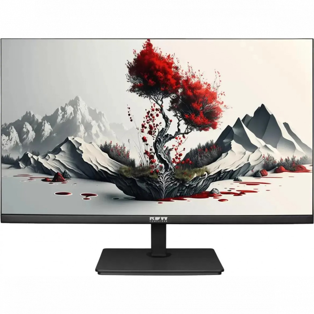 Монитор RDW Computers F00B0100V2A1H 2401K/F00B0100V2A1H 23.8 ", IPS, Full HD 1920x1080 (16:9), 100 Гц — фото товара