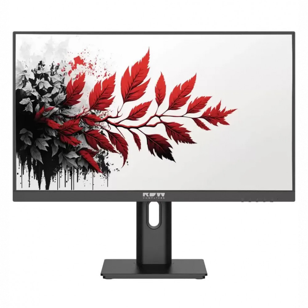 Монитор RDW Computers 2701K 2701K/F05B0120V2A1 27 ", IPS, Full HD 1920x1080 (16:9), 120 Гц — фото товара