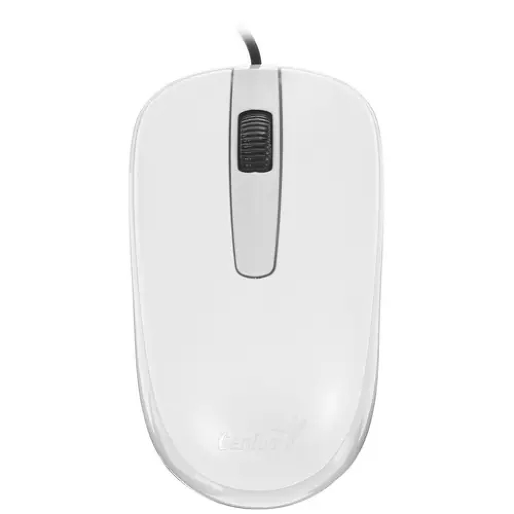 Мышь EnGenius DX-120 DX-120, USB White Бюджетные, Проводная — фото товара