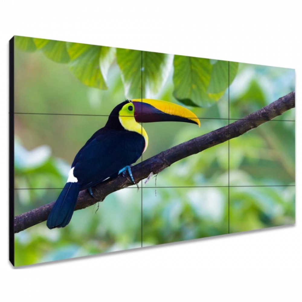 LED / LCD панель Exell EXPD-WI453AM 49 " — фото товара
