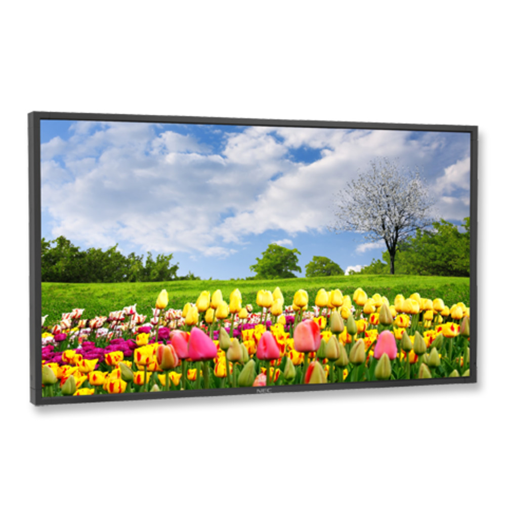 LED / LCD панель NEC MultiSync® X462HB 60003174 46 " - миниатюра 2