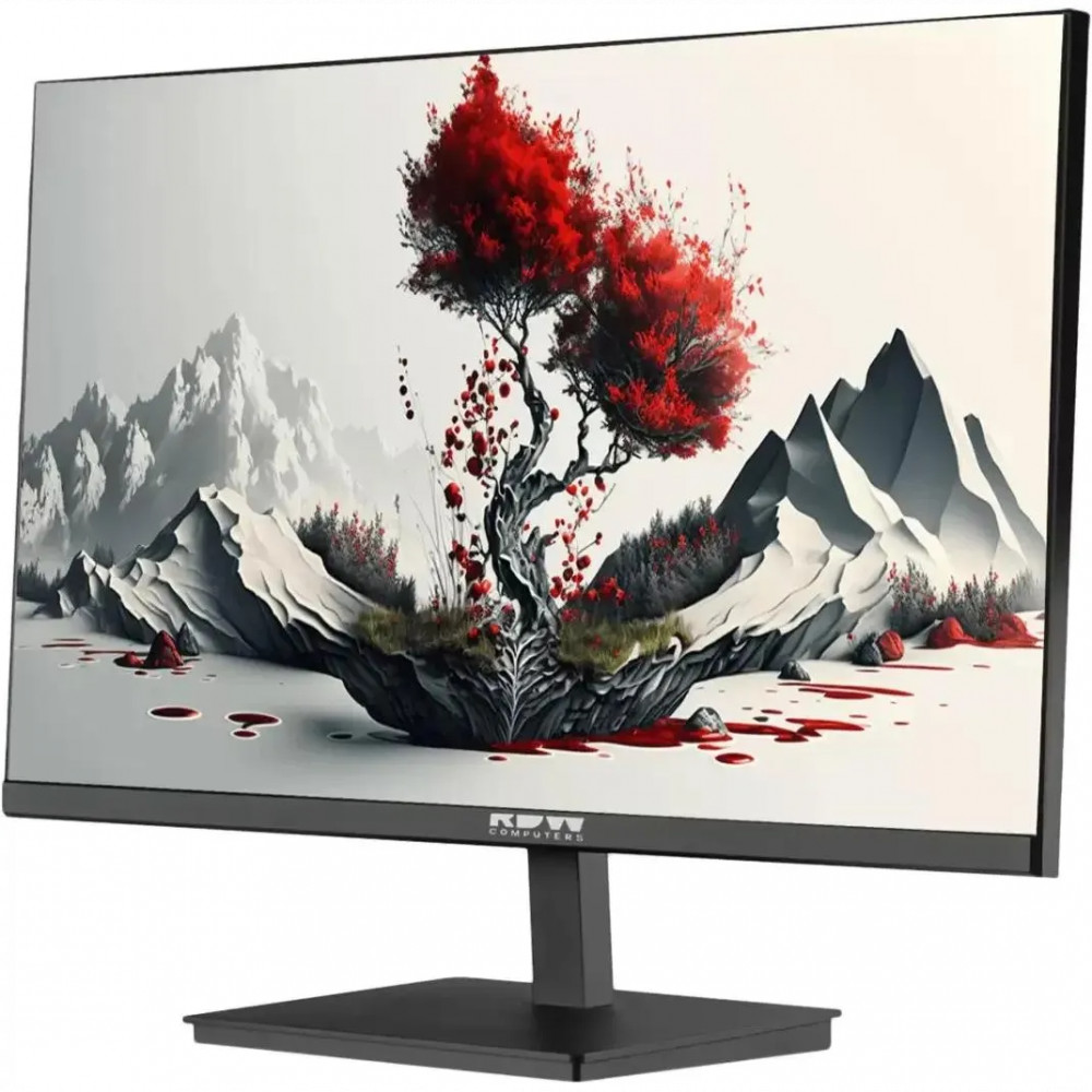Монитор RDW Computers F00B0100V2A1H 2401K/F00B0100V2A1H 23.8 ", IPS, Full HD 1920x1080 (16:9), 100 Гц - миниатюра 2